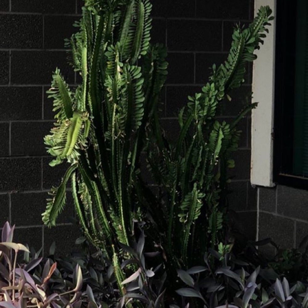 Meet your Posher, Vintee